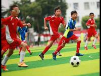 比利亚雷亚尔VS皇家贝蒂斯直播_比利亚雷亚尔VS皇家贝蒂斯无插件极速免费高清直播_比利亚雷亚尔VS皇家贝蒂斯直播秒开畅享